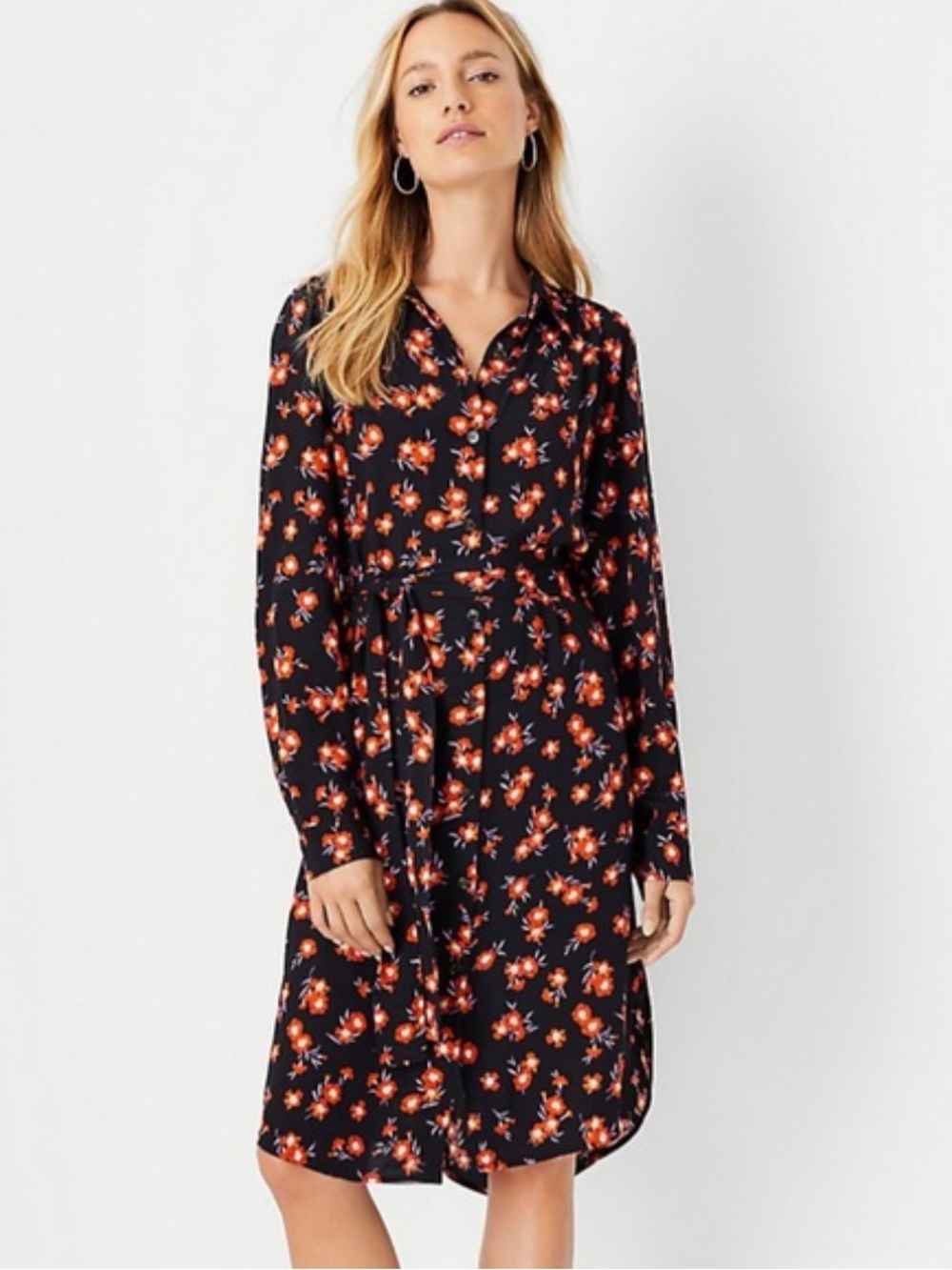 Ann Taylor Shirt Dress